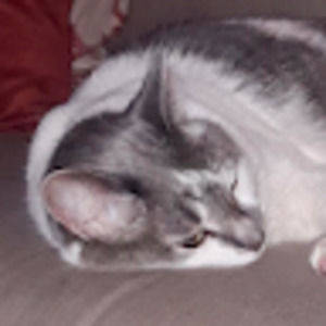 Meet your Posher, Addison